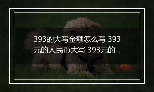 393的大写金额怎么写 393元的人民币大写 393元的数字大写