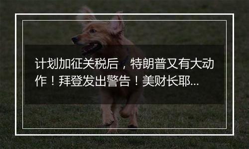 计划加征关税后,特朗普又有大动作!拜登发出警告!美财长耶伦最新发声→