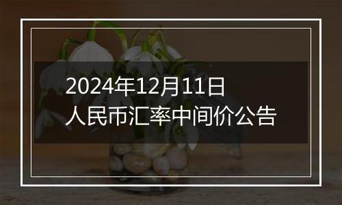 2024年12月11日人民币汇率中间价公告