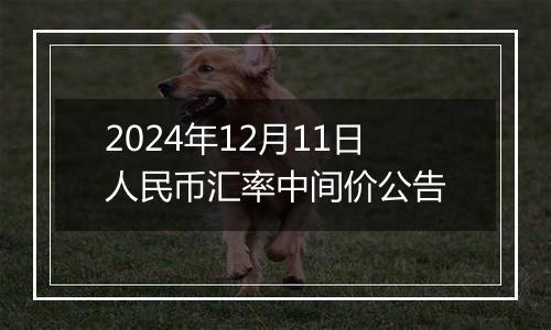 2024年12月11日人民币汇率中间价公告