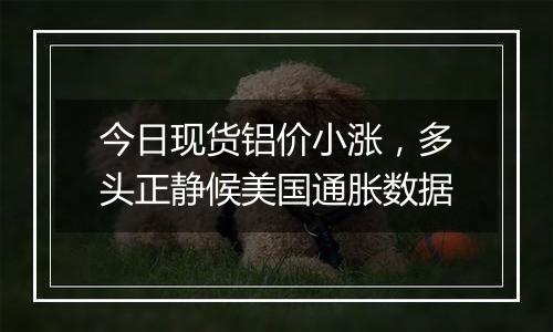 今日现货铝价小涨,多头正静候美国通胀数据