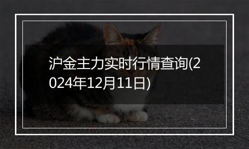 沪金主力实时行情查询(2024年12月11日)