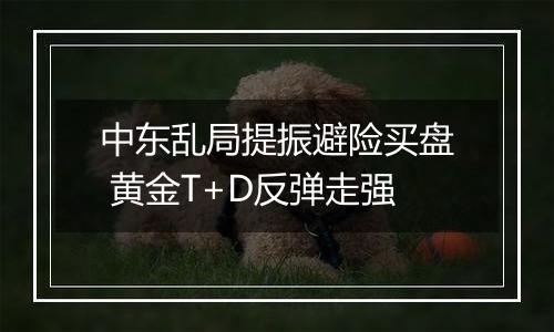 中东乱局提振避险买盘 黄金T+D反弹走强