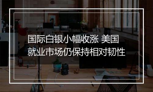 国际白银小幅收涨 美国就业市场仍保持相对韧性