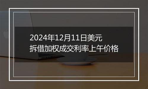 2024年12月11日美元拆借加权成交利率上午价格