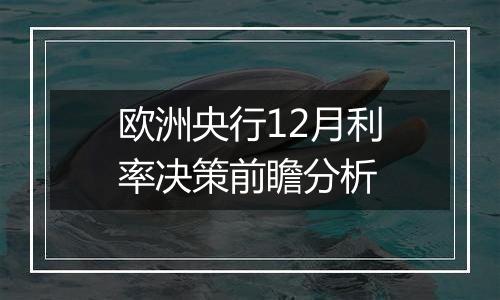 欧洲央行12月利率决策前瞻分析