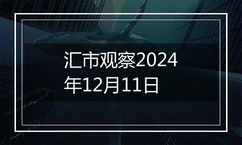 汇市观察2024年12月11日