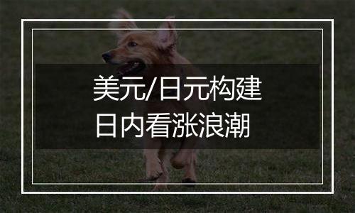 美元/日元构建日内看涨浪潮