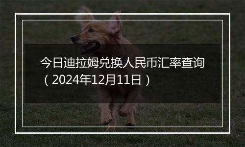 今日迪拉姆兑换人民币汇率查询(2024年12月11日)