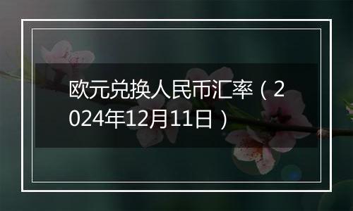 欧元兑换人民币汇率(2024年12月11日)