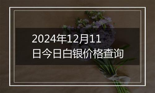 2024年12月11日今日白银价格查询