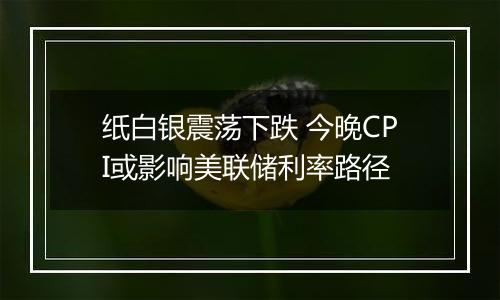 纸白银震荡下跌 今晚CPI或影响美联储利率路径