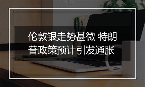 伦敦银走势甚微 特朗普政策预计引发通胀