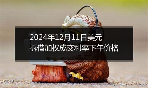 2024年12月11日美元拆借加权成交利率下午价格