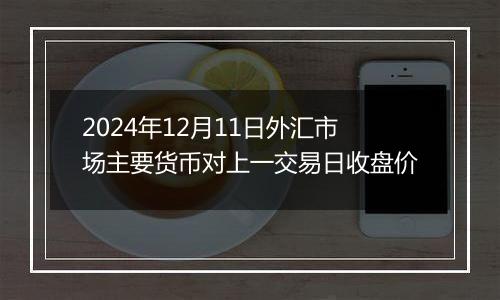 2024年12月11日外汇市场主要货币对上一交易日收盘价