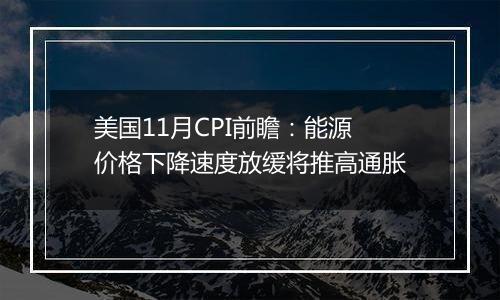 美国11月CPI前瞻:能源价格下降速度放缓将推高通胀