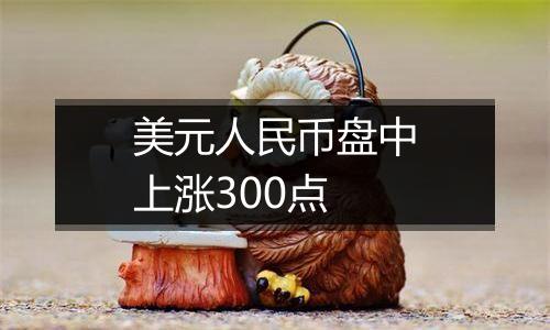 美元人民币盘中上涨300点