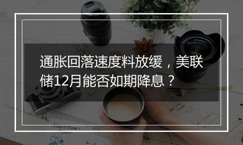 通胀回落速度料放缓,美联储12月能否如期降息?