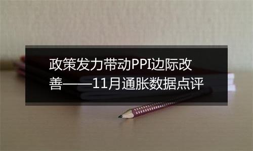 政策发力带动PPI边际改善——11月通胀数据点评