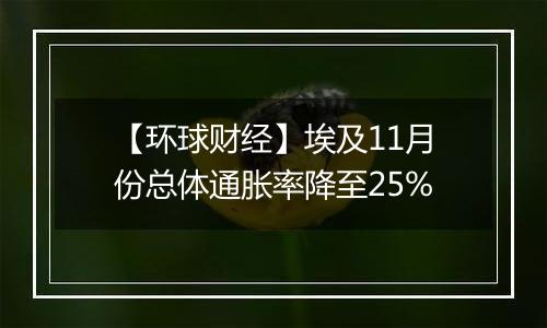 【环球财经】埃及11月份总体通胀率降至25%