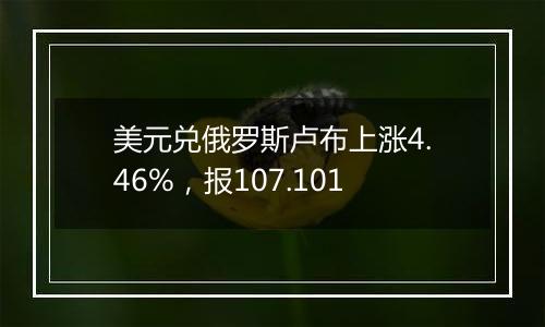 美元兑俄罗斯卢布上涨4.46%,报107.101