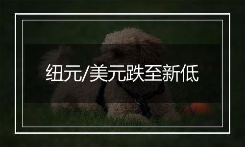 纽元/美元跌至新低