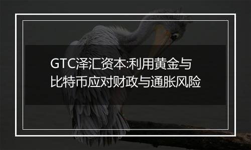GTC泽汇资本:利用黄金与比特币应对财政与通胀风险