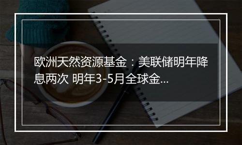 欧洲天然资源基金:美联储明年降息两次 明年3-5月全球金融市场或出现大幅下跌