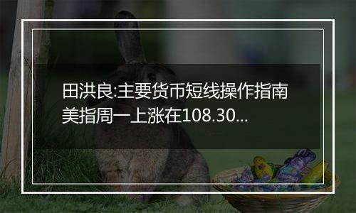 田洪良:主要货币短线操作指南 美指周一上涨在108.30之下遇阻