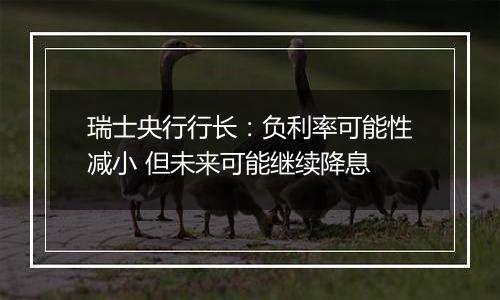 瑞士央行行长:负利率可能性减小 但未来可能继续降息