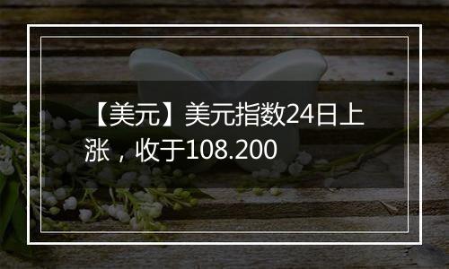 【美元】美元指数24日上涨,收于108.200