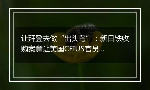 让拜登去做“出头鸟”:新日铁收购案竟让美国CFIUS官员集体摆烂