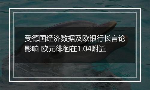 受德国经济数据及欧银行长言论影响 欧元徘徊在1.04附近