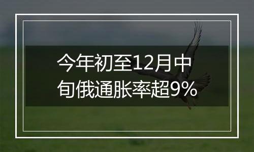 今年初至12月中旬俄通胀率超9%