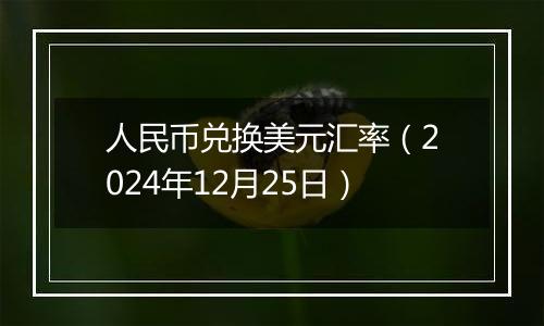 人民币兑换美元汇率(2024年12月25日)