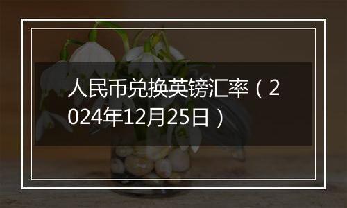 人民币兑换英镑汇率(2024年12月25日)