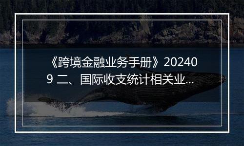 《跨境金融业务手册》202409 二、国际收支统计相关业务的办理