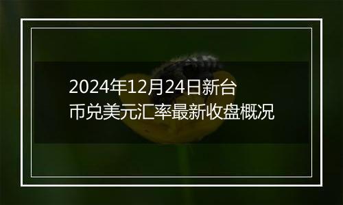 2024年12月24日新台币兑美元汇率最新收盘概况