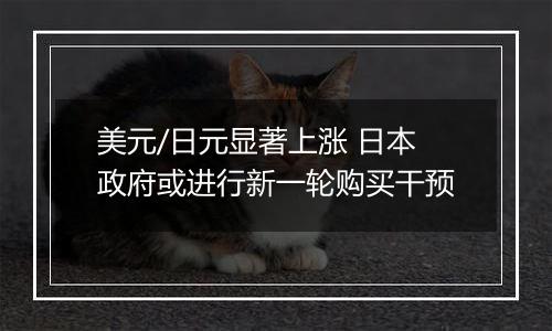 美元/日元显著上涨 日本政府或进行新一轮购买干预