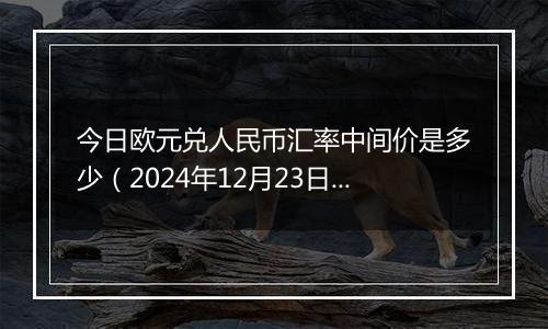 今日欧元兑人民币汇率中间价是多少(2024年12月23日)