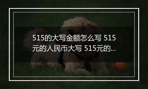 515的大写金额怎么写 515元的人民币大写 515元的数字大写