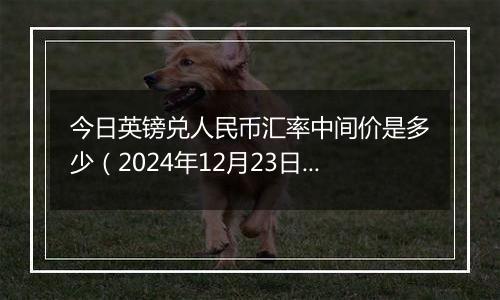 今日英镑兑人民币汇率中间价是多少(2024年12月23日)