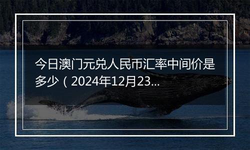 今日澳门元兑人民币汇率中间价是多少(2024年12月23日)