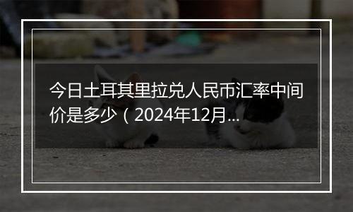 今日土耳其里拉兑人民币汇率中间价是多少(2024年12月23日)