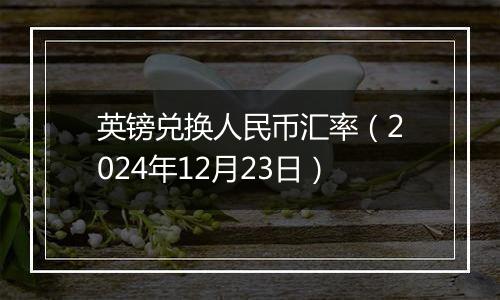 英镑兑换人民币汇率(2024年12月23日)