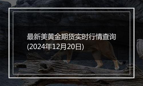 最新美黄金期货实时行情查询(2024年12月20日)
