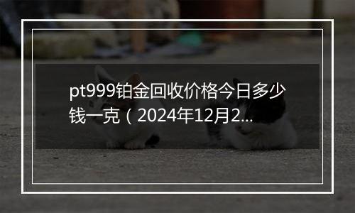 pt999铂金回收价格今日多少钱一克(2024年12月21日)
