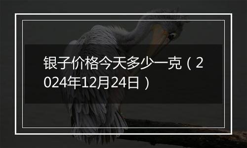 银子价格今天多少一克(2024年12月24日)