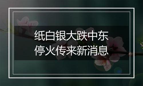 纸白银大跌中东停火传来新消息