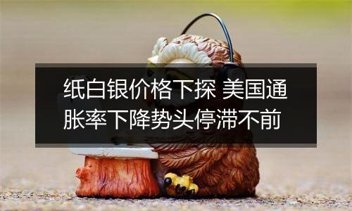 纸白银价格下探 美国通胀率下降势头停滞不前